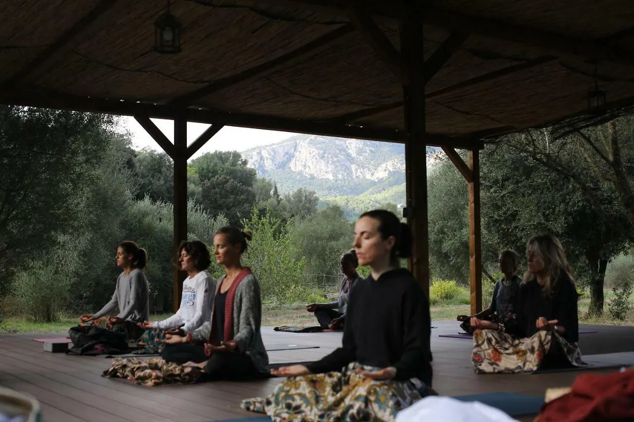 Agroturismo Can Torna Ag178 Esporles
